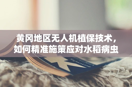 黄冈地区无人机植保技术，如何精准施策应对水稻病虫害？