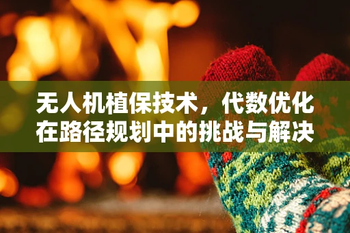 无人机植保技术，代数优化在路径规划中的挑战与解决方案