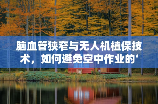 脑血管狭窄与无人机植保技术，如何避免空中作业的‘隐形威胁’？
