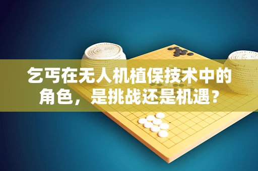 乞丐在无人机植保技术中的角色，是挑战还是机遇？