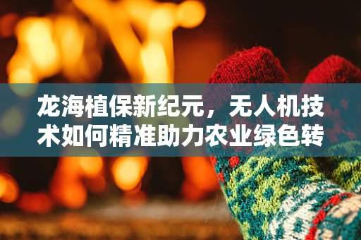 龙海植保新纪元，无人机技术如何精准助力农业绿色转型？