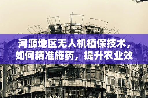 河源地区无人机植保技术，如何精准施药，提升农业效率？