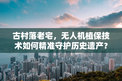 古村落老宅，无人机植保技术如何精准守护历史遗产？