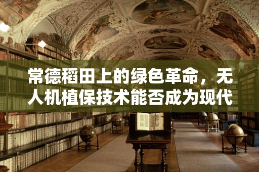 常德稻田上的绿色革命，无人机植保技术能否成为现代农业的新引擎？