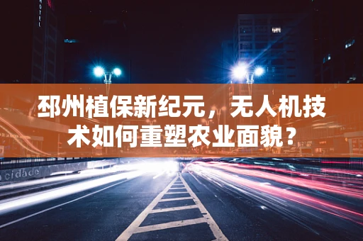 邳州植保新纪元，无人机技术如何重塑农业面貌？