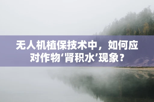 无人机植保技术中，如何应对作物‘肾积水’现象？