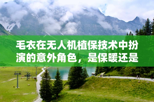 毛衣在无人机植保技术中扮演的意外角色，是保暖还是保护？