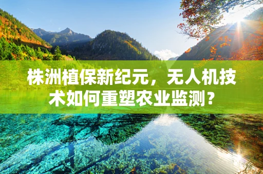 株洲植保新纪元，无人机技术如何重塑农业监测？