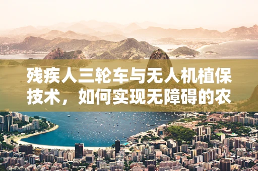 残疾人三轮车与无人机植保技术，如何实现无障碍的农业智能化？