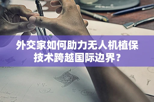外交家如何助力无人机植保技术跨越国际边界？