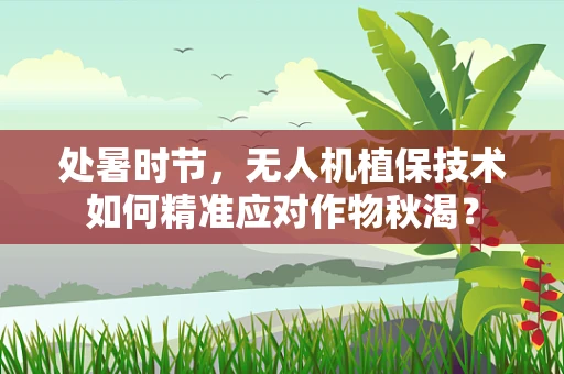 处暑时节，无人机植保技术如何精准应对作物秋渴？