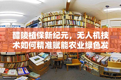 醴陵植保新纪元，无人机技术如何精准赋能农业绿色发展？