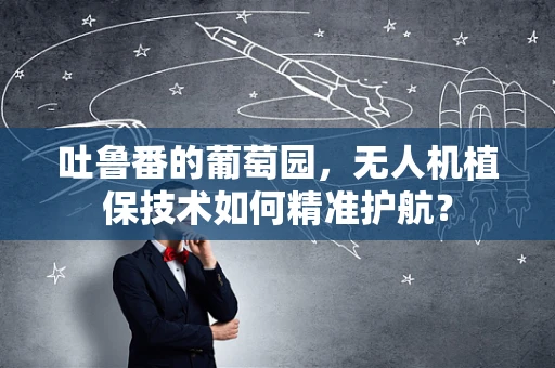 吐鲁番的葡萄园，无人机植保技术如何精准护航？
