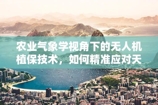 农业气象学视角下的无人机植保技术，如何精准应对天气变化？