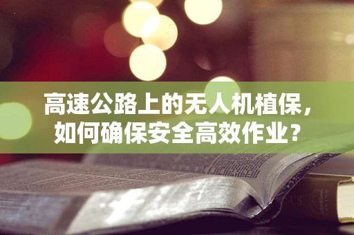 高速公路上的无人机植保，如何确保安全高效作业？