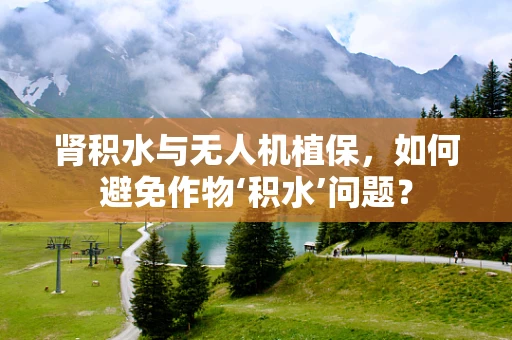 肾积水与无人机植保，如何避免作物‘积水’问题？