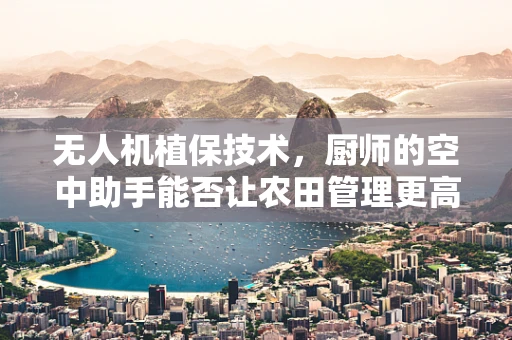 无人机植保技术，厨师的空中助手能否让农田管理更高效？