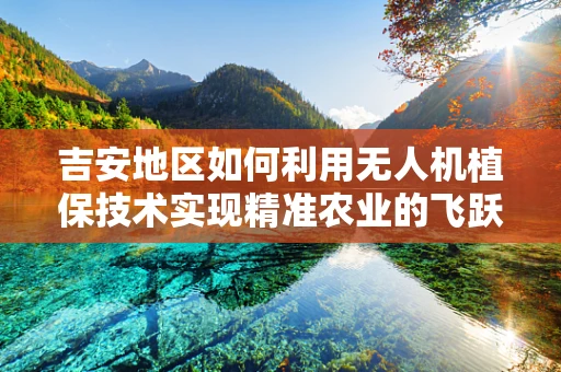吉安地区如何利用无人机植保技术实现精准农业的飞跃？