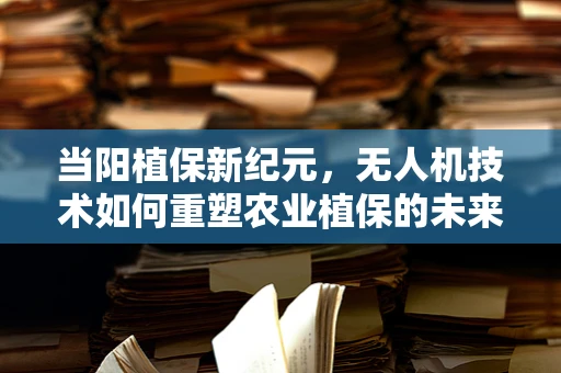 当阳植保新纪元，无人机技术如何重塑农业植保的未来？