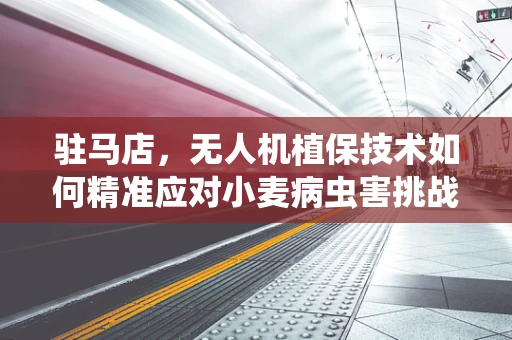 驻马店，无人机植保技术如何精准应对小麦病虫害挑战？