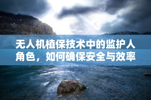 无人机植保技术中的监护人角色，如何确保安全与效率的双重保障？
