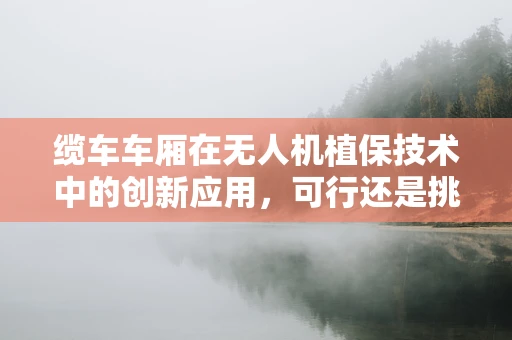 缆车车厢在无人机植保技术中的创新应用，可行还是挑战？