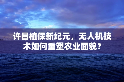 许昌植保新纪元，无人机技术如何重塑农业面貌？