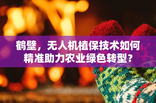 鹤壁，无人机植保技术如何精准助力农业绿色转型？