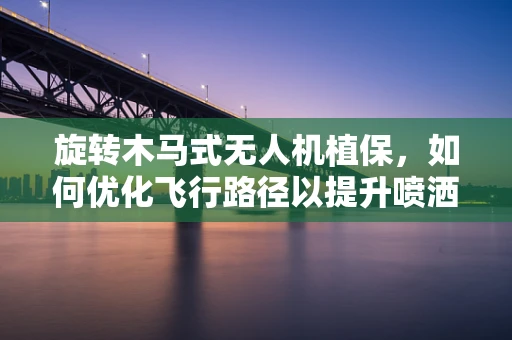 旋转木马式无人机植保，如何优化飞行路径以提升喷洒效率？