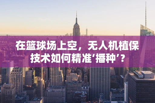 在篮球场上空，无人机植保技术如何精准‘播种’？