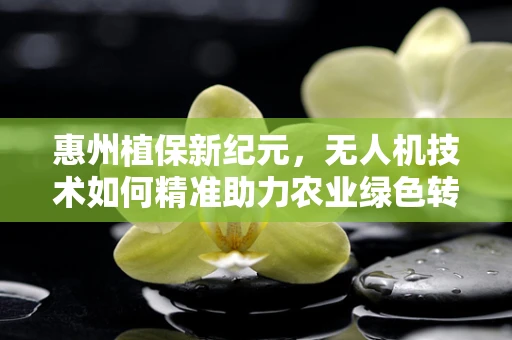 惠州植保新纪元，无人机技术如何精准助力农业绿色转型？