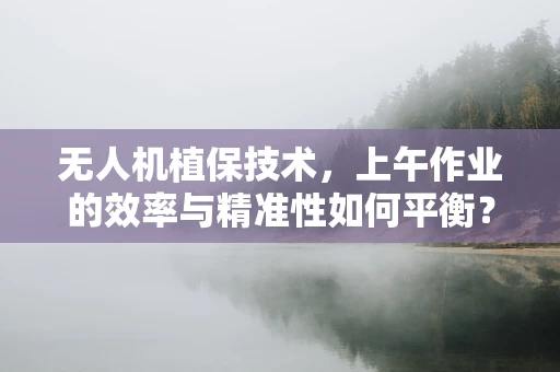 无人机植保技术，上午作业的效率与精准性如何平衡？