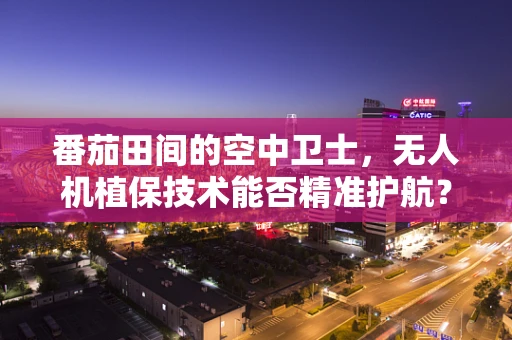 番茄田间的空中卫士，无人机植保技术能否精准护航？
