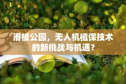滑板公园，无人机植保技术的新挑战与机遇？