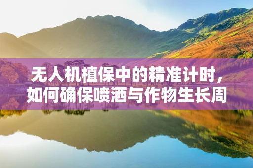 无人机植保中的精准计时，如何确保喷洒与作物生长周期的完美同步？