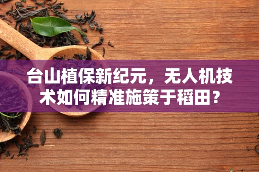 台山植保新纪元，无人机技术如何精准施策于稻田？
