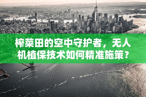 榨菜田的空中守护者，无人机植保技术如何精准施策？
