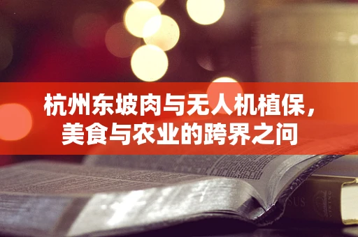 杭州东坡肉与无人机植保，美食与农业的跨界之问