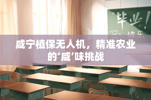 咸宁植保无人机，精准农业的‘咸’味挑战