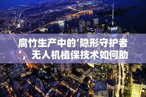 腐竹生产中的‘隐形守护者’，无人机植保技术如何助力高效防控？