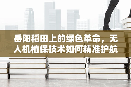 岳阳稻田上的绿色革命，无人机植保技术如何精准护航？