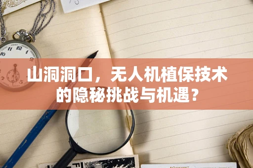 山洞洞口，无人机植保技术的隐秘挑战与机遇？
