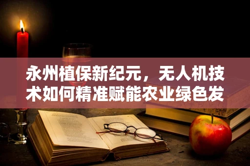 永州植保新纪元，无人机技术如何精准赋能农业绿色发展？