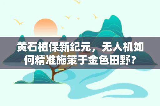 黄石植保新纪元，无人机如何精准施策于金色田野？