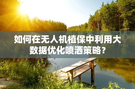 如何在无人机植保中利用大数据优化喷洒策略？