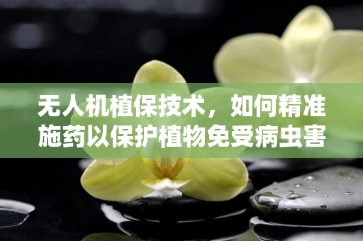 无人机植保技术，如何精准施药以保护植物免受病虫害？
