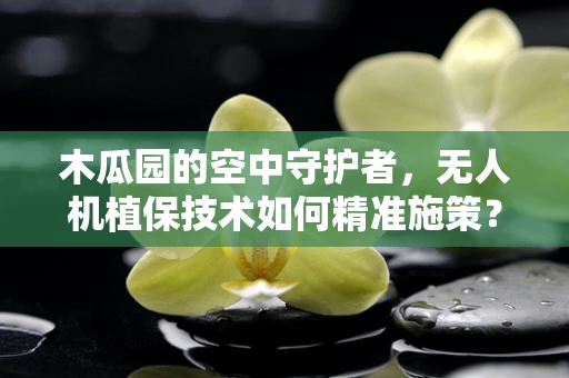木瓜园的空中守护者，无人机植保技术如何精准施策？