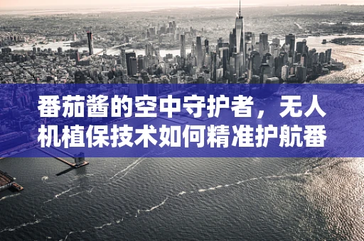 番茄酱的空中守护者，无人机植保技术如何精准护航番茄田？