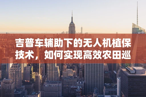 吉普车辅助下的无人机植保技术，如何实现高效农田巡检？