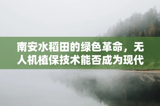 南安水稻田的绿色革命，无人机植保技术能否成为现代农业的新引擎？